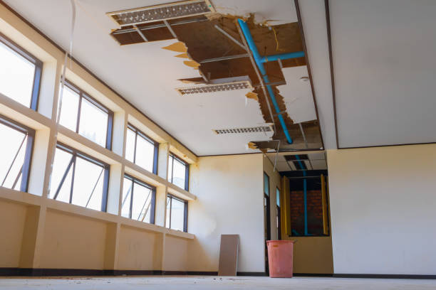 Best Commercial water damage restoration  in Ludington, MI