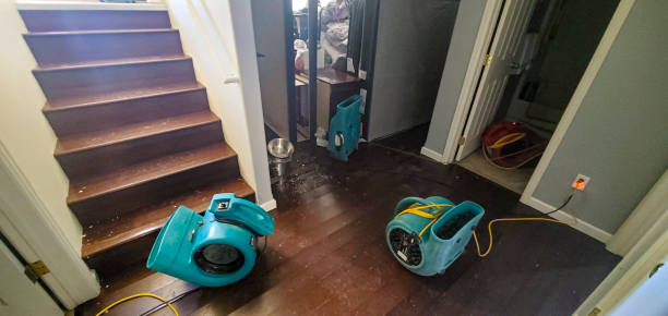 Best Water damage restoration near me  in Ludington, MI