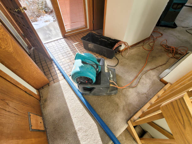 Best Carpet water damage restoration  in Ludington, MI