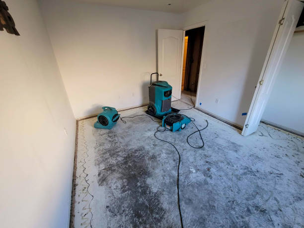 Best Residential water damage restoration  in Ludington, MI