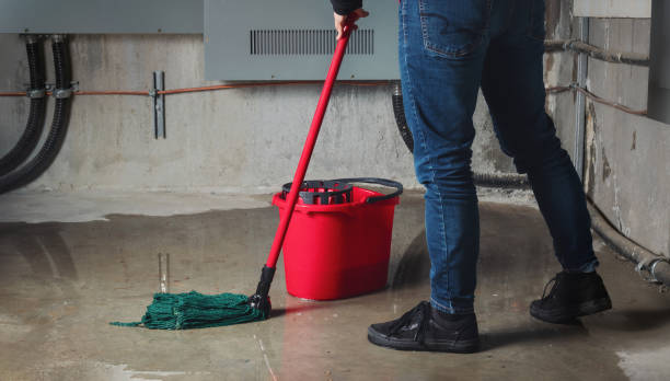 Best Flood damage cleanup  in Ludington, MI