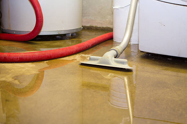 Trusted Ludington, MI Water damage restoration Experts