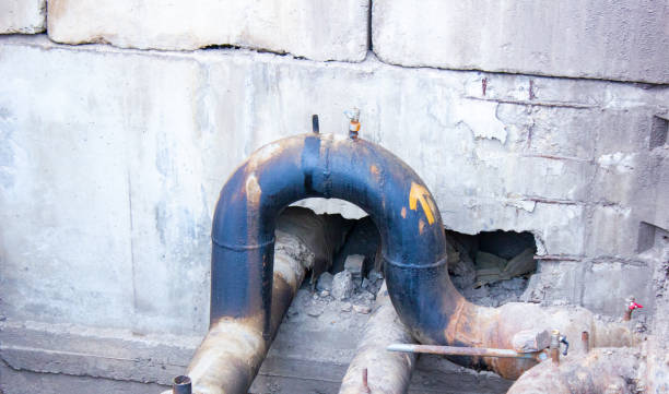 Best Water damage contractors near me  in Ludington, MI