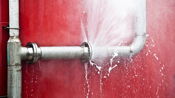 Best Flooded house restoration  in Ludington, MI